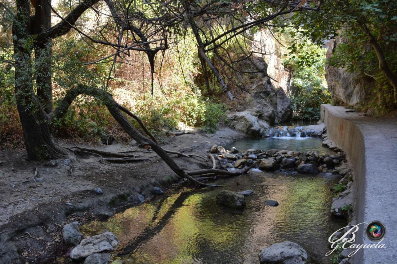 Casa Rural Los Abuelos موناتْشيل المظهر الخارجي الصورة